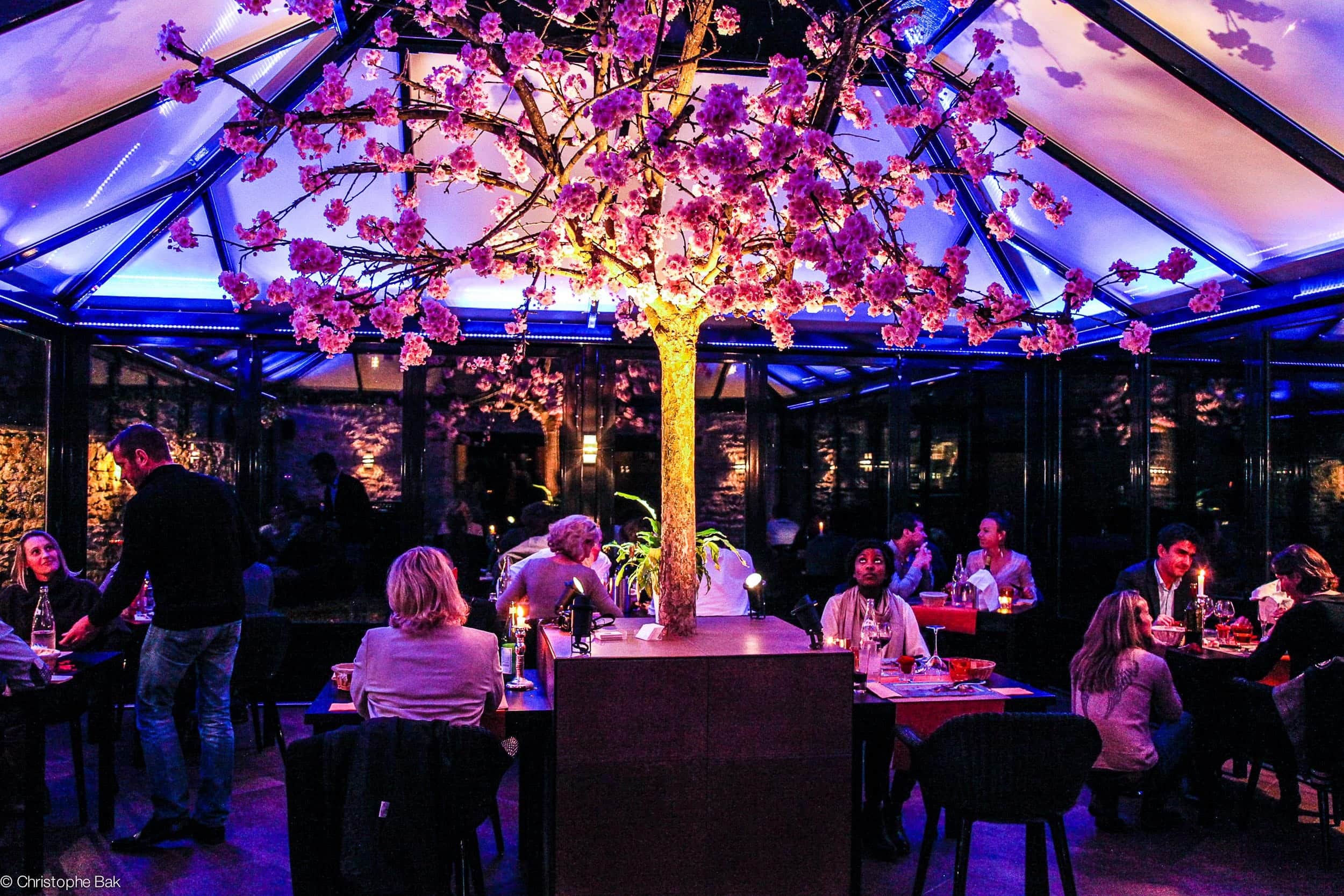 Menu dégustation en 6 services – une expérience culinaire raffinée pour deux.